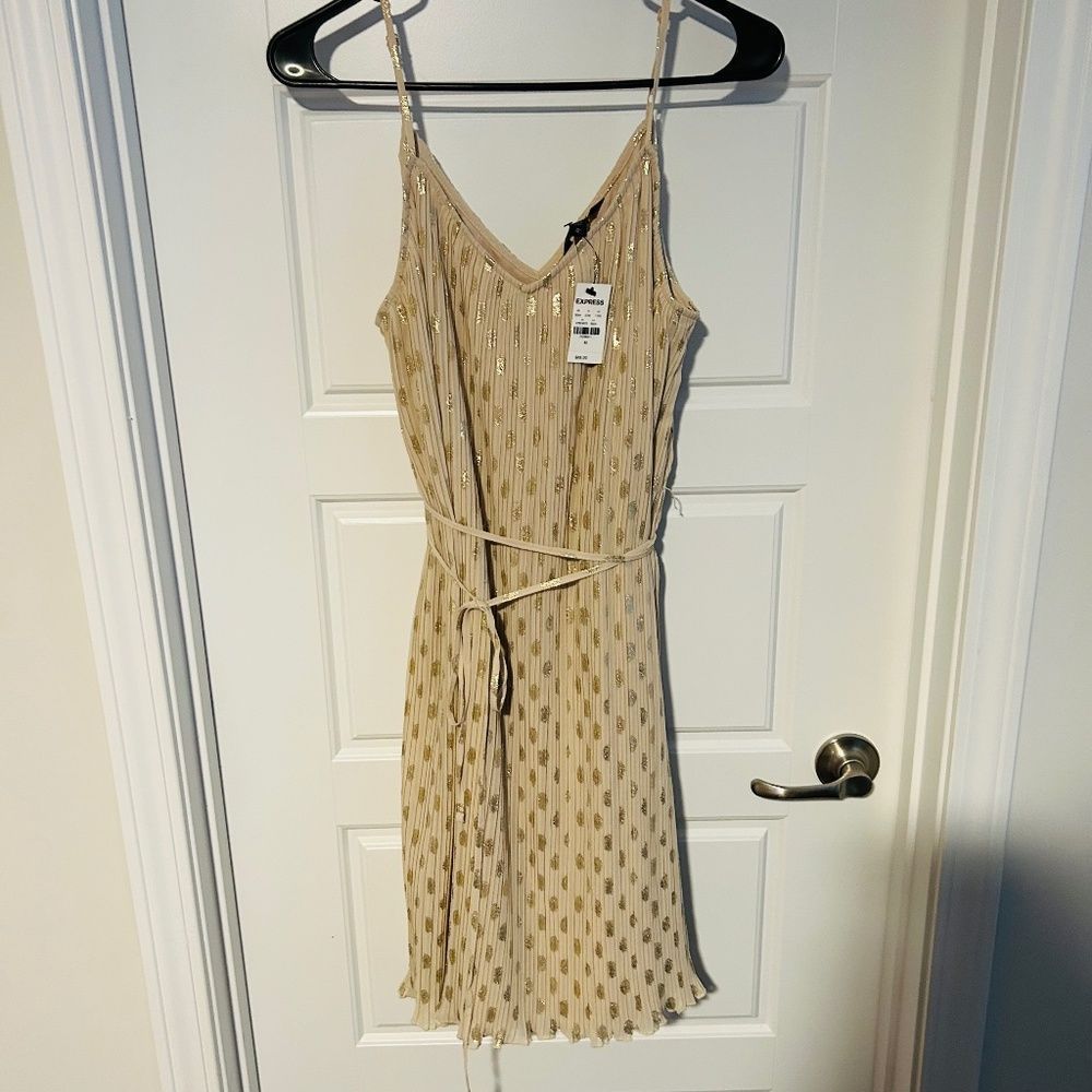 Express Festive Dress 